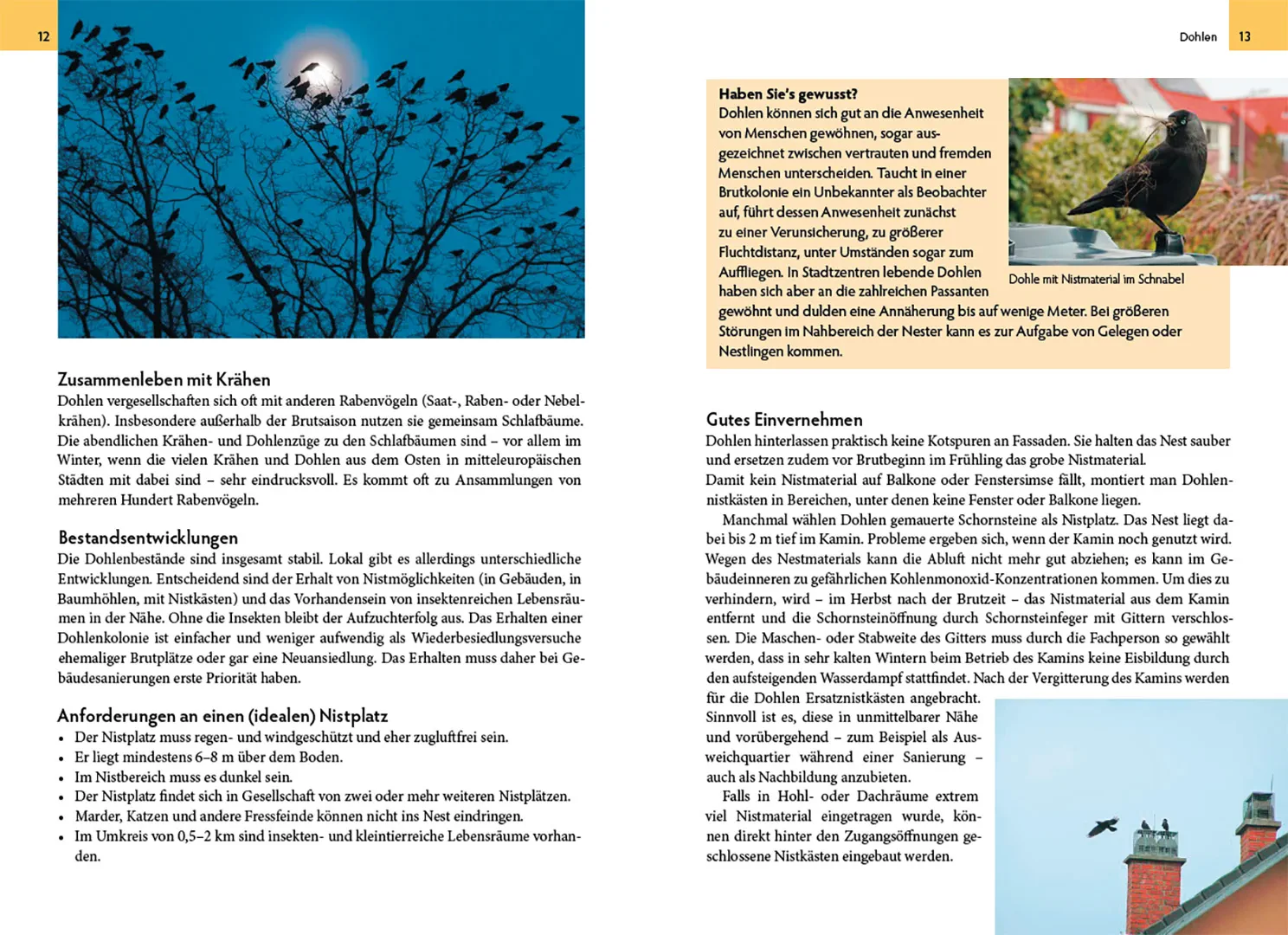 Beispielinhalt (Bild) Wildtiere am Haus