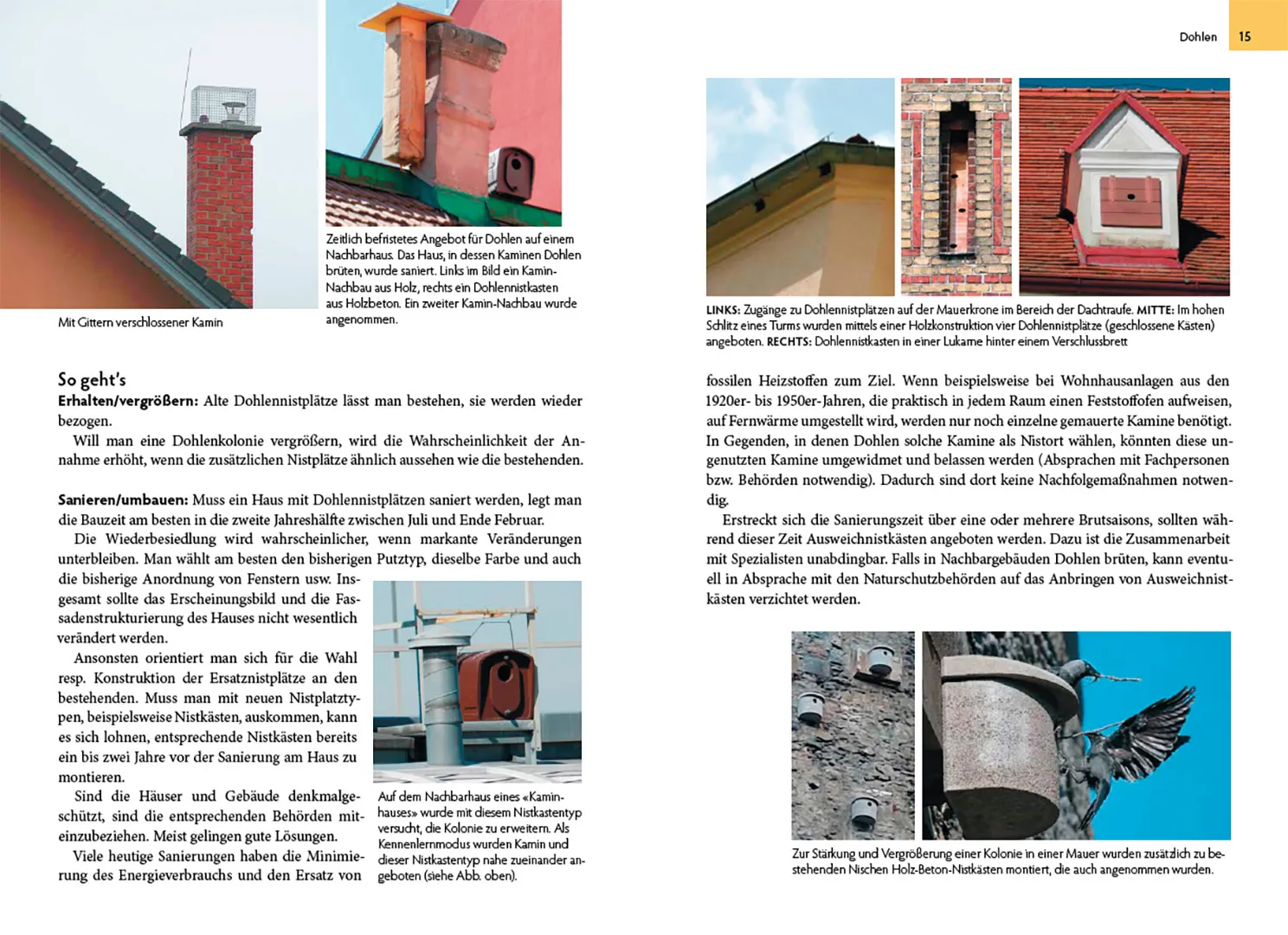 Beispielinhalt (Bild) Wildtiere am Haus