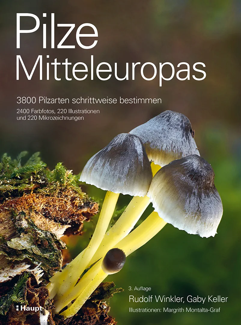 Vorderes Coverbild Pilze Mitteleuropas