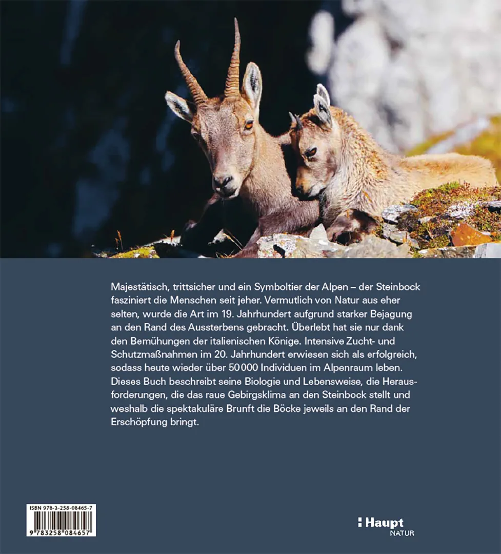 Rückseitencover Der Steinbock
