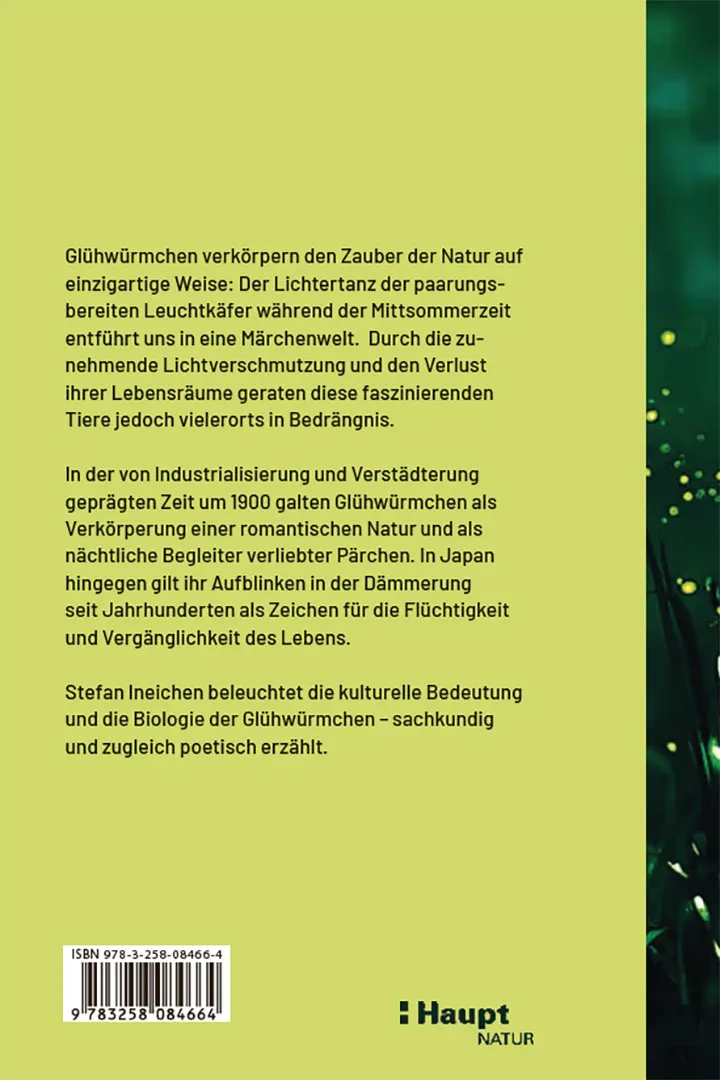 Rückseitencover Glühwürmchen