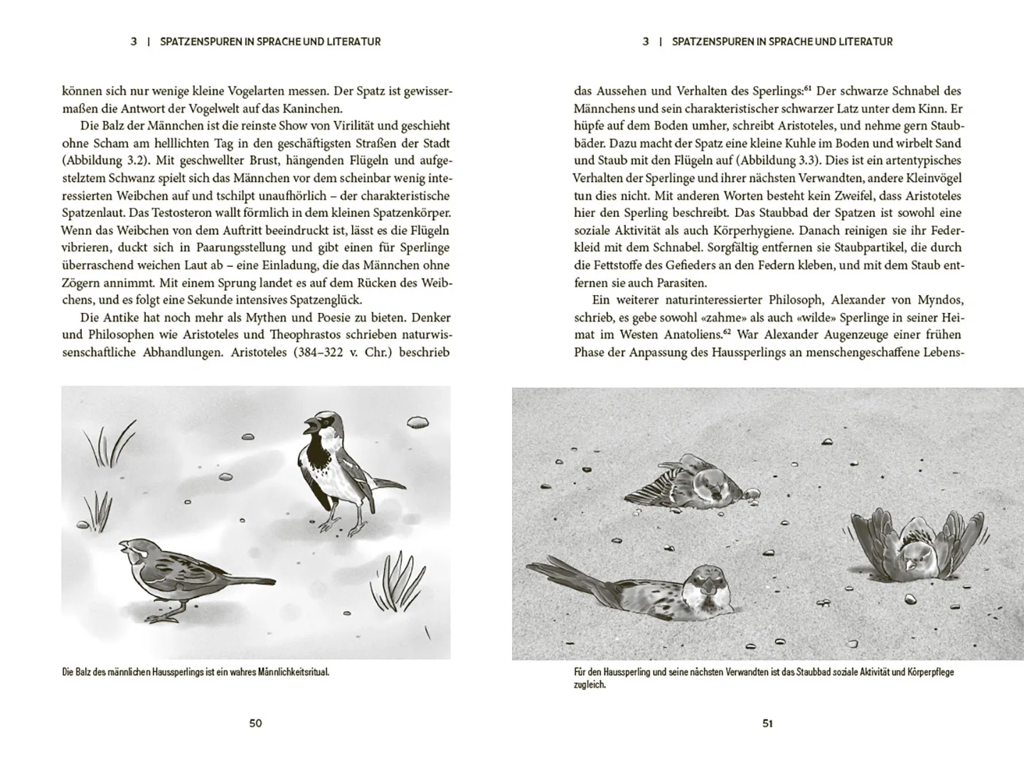 Beispielinhalt (Bild) Der Spatz