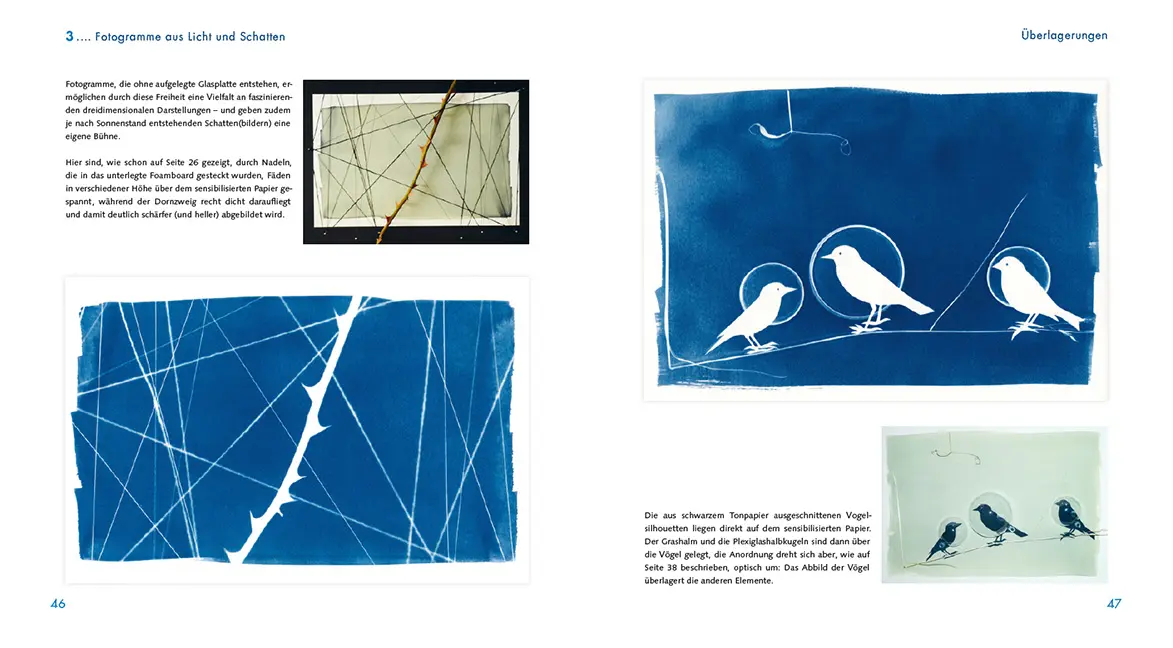 Beispielinhalt (Bild) Blaue Wunder - Techniken und Projekte mit Cyanotypie
