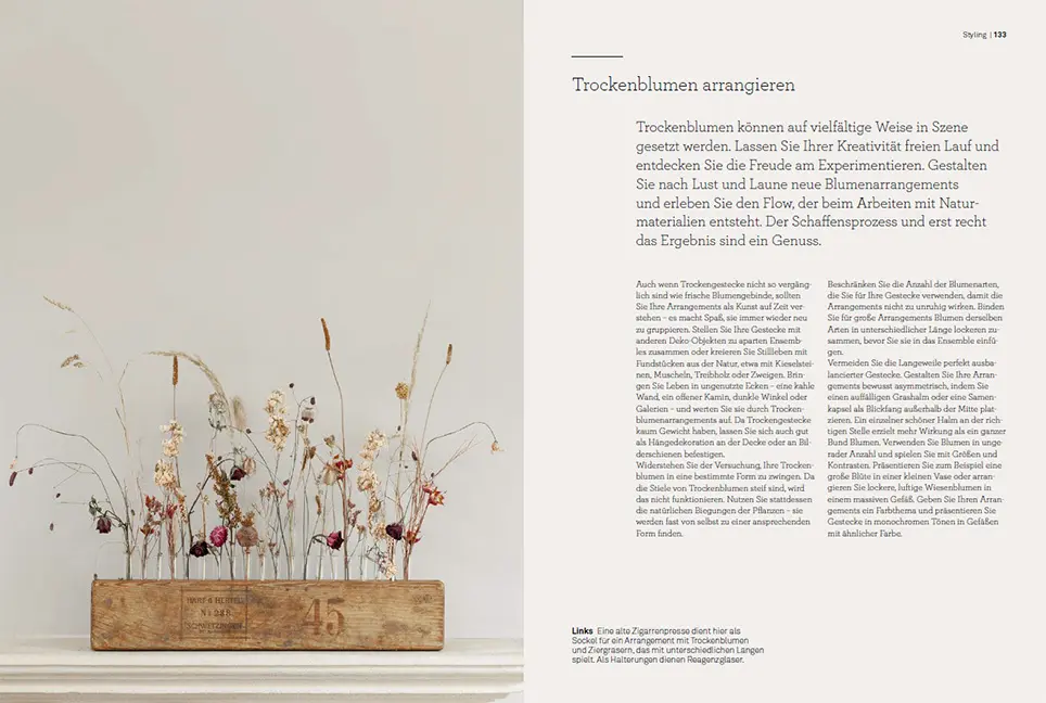 Beispielinhalt (Bild) Trockenblumen – vom Samen bis zum Arrangement