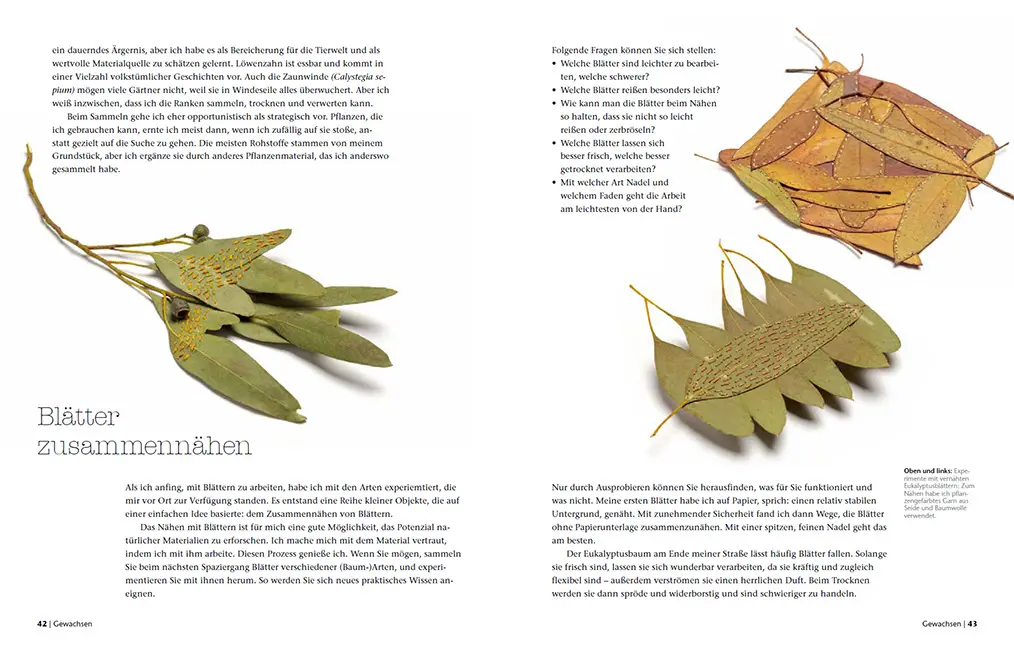 Beispielinhalt (Bild) Wilde Fasern