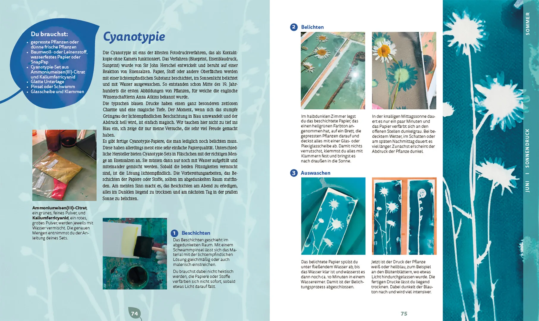 Beispielinhalt (Bild) Bunte Blätter