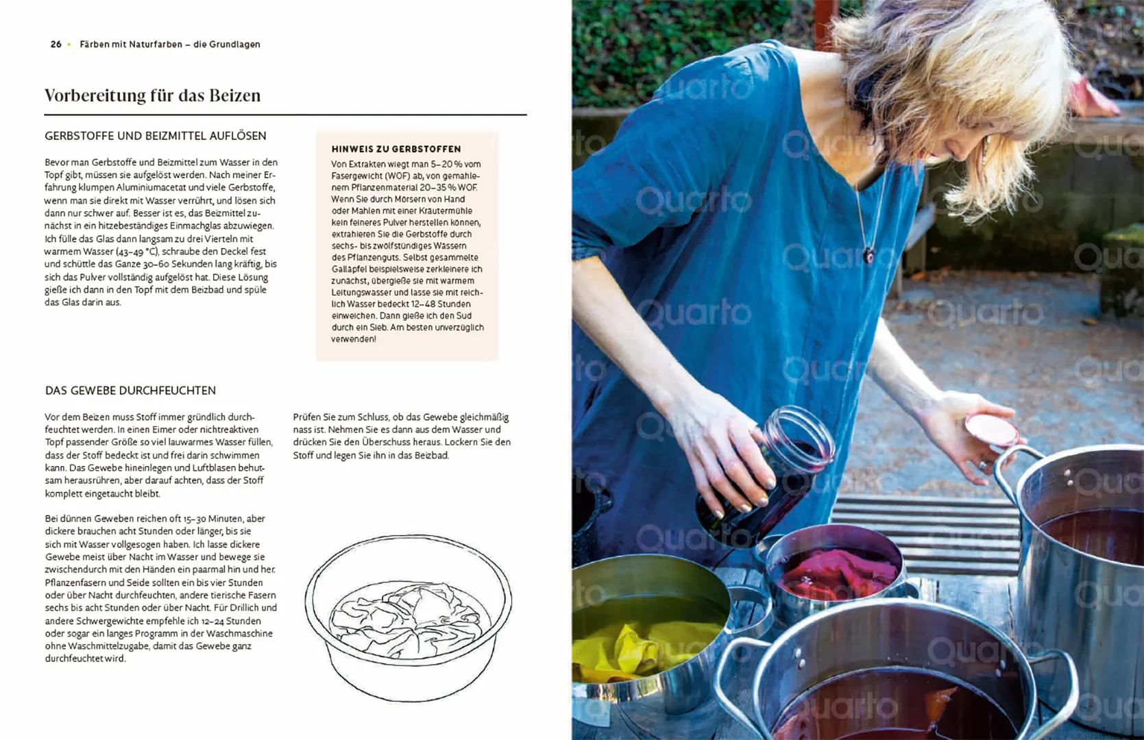 Beispielinhalt (Bild) Das Handbuch der Pflanzenfarben