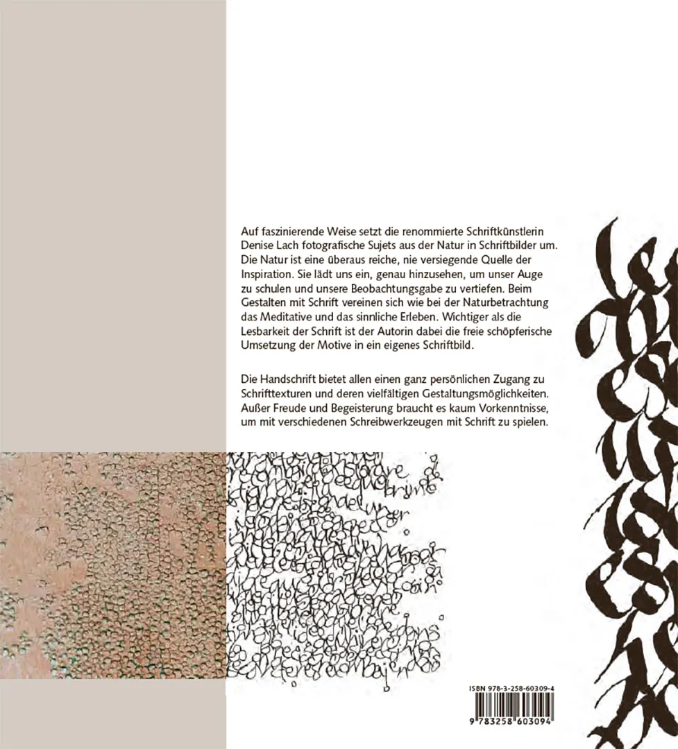 Rückseitencover Schriftspiele