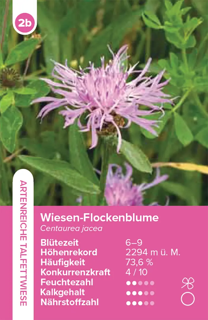 Beispielinhalt (Bild) Lebensräume Wiesen und Weiden – das Quartett-Spiel