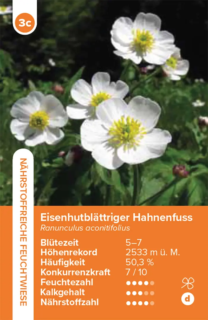 Beispielinhalt (Bild) Lebensräume Wiesen und Weiden – das Quartett-Spiel