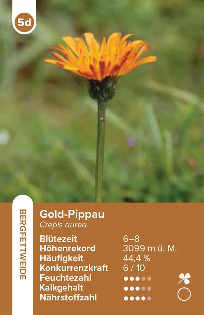 Beispielinhalt (Bild) Lebensräume Wiesen und Weiden – das Quartett-Spiel