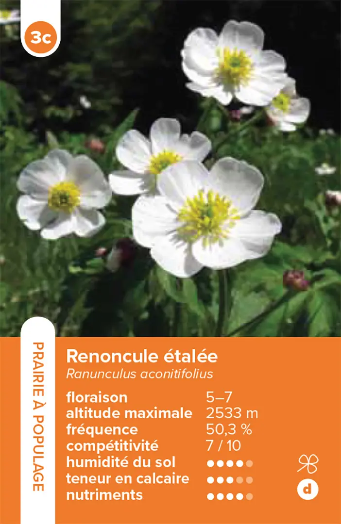 Beispielinhalt (Bild) Habitats pelouses et prairies – le jeu du quatuor