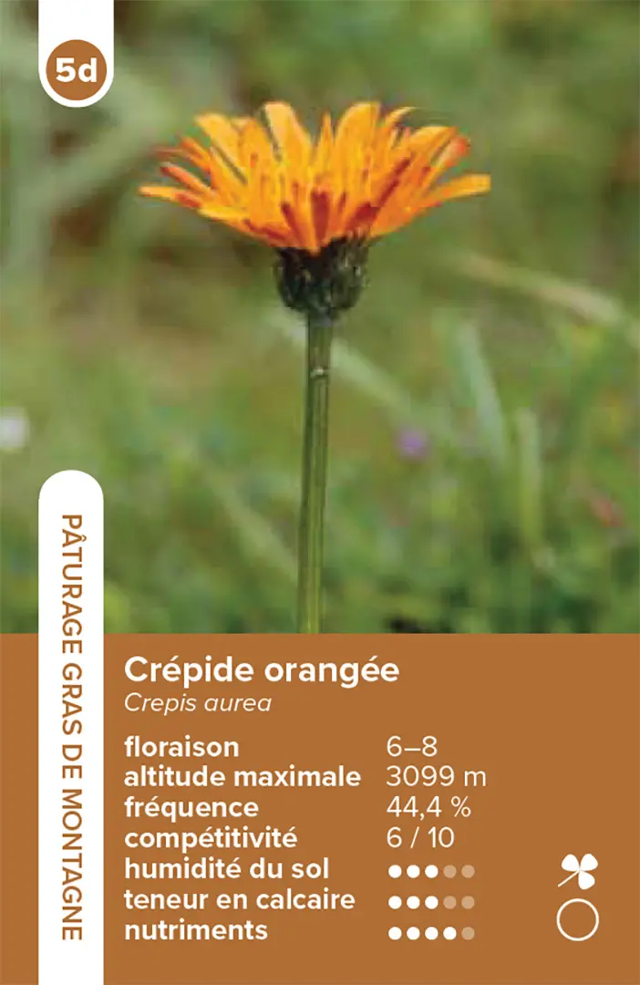 Beispielinhalt (Bild) Habitats pelouses et prairies – le jeu du quatuor