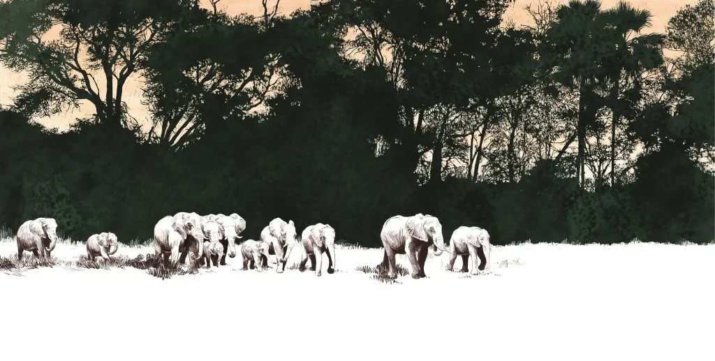 20231220_068-069_Vlcek_Afrika_cKatharina-Vlcek_D-Glinde