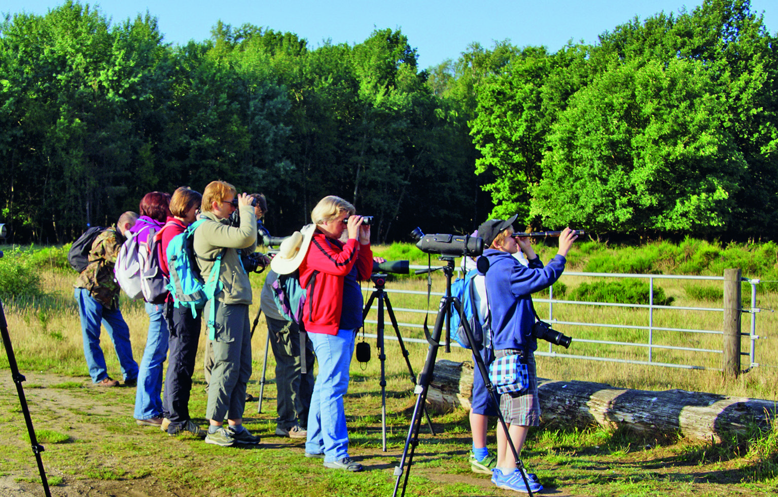 Praxisbuch Naturgucken – Informationen, Tipps und Tricks für Naturbegeisterte