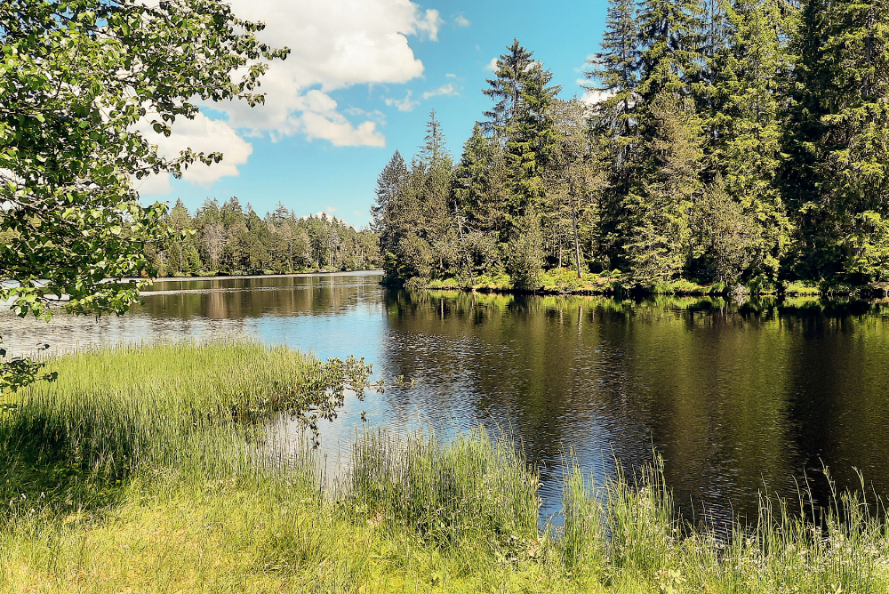Die Schweizer Pärke: Der Naturpark Pfyn-Finges, die Unesco Biosphäre Entlebuch und der Parc du Doubs im Fokus