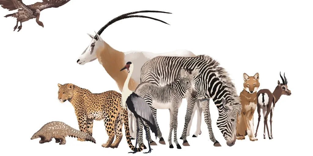 20231220_070-071_Vlcek_Afrika_cKatharina-Vlcek_D-Glinde