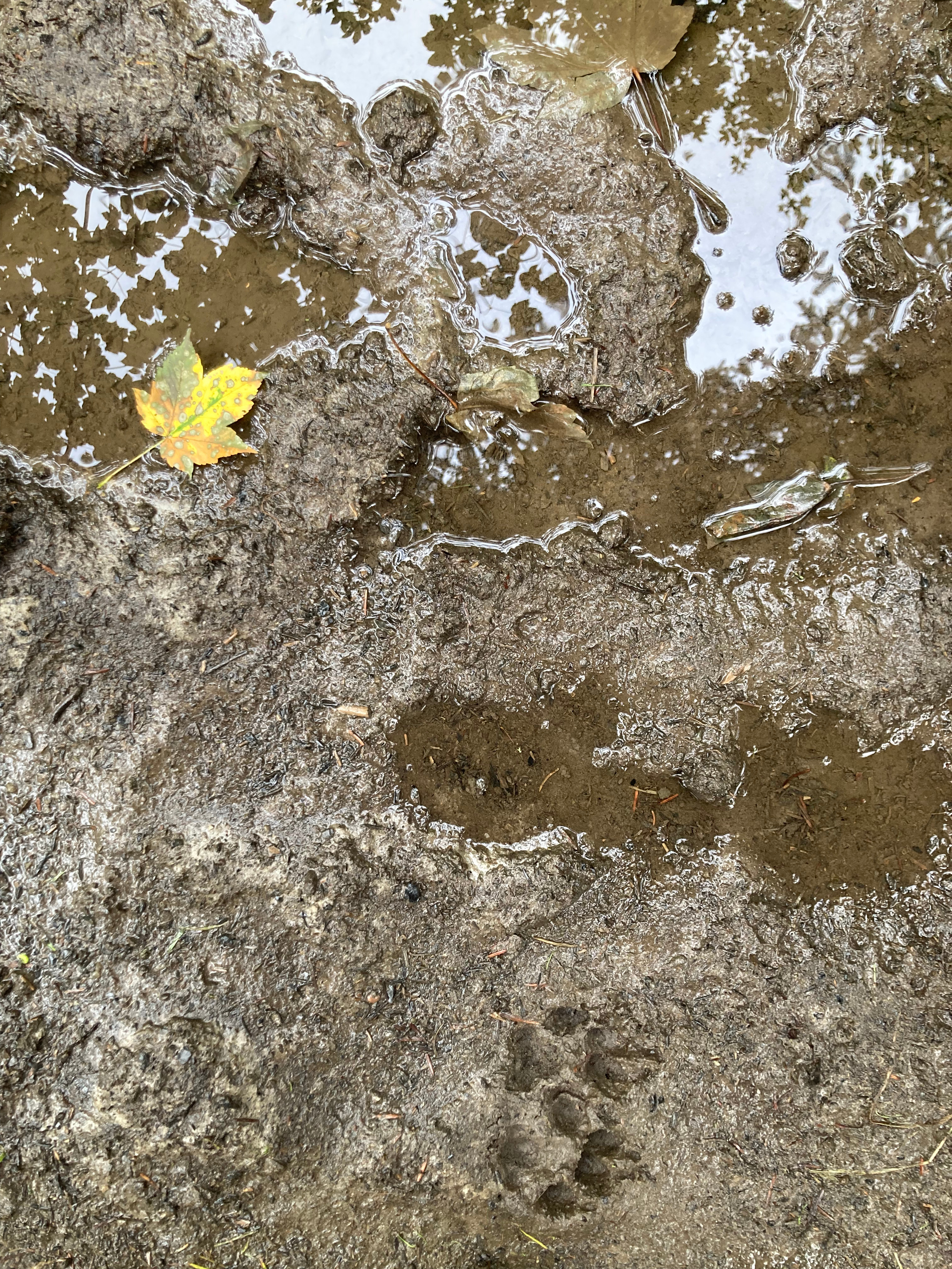 HauptAutorin Susanne Wurst: Der Boden lebt