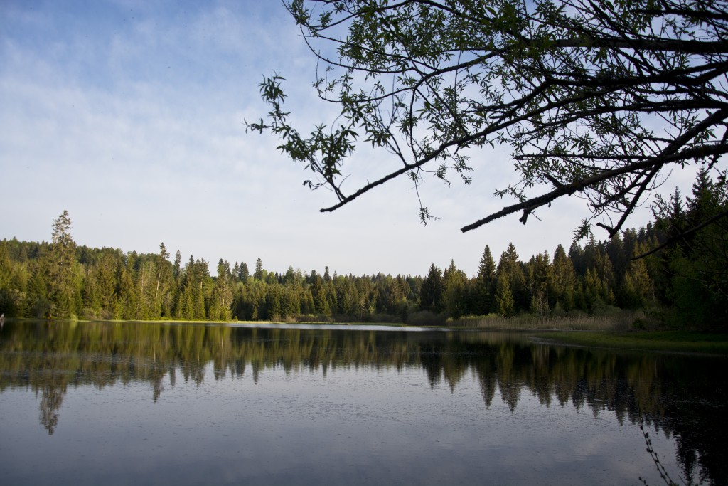 Moorwanderung: Franches Montagnes (JU)