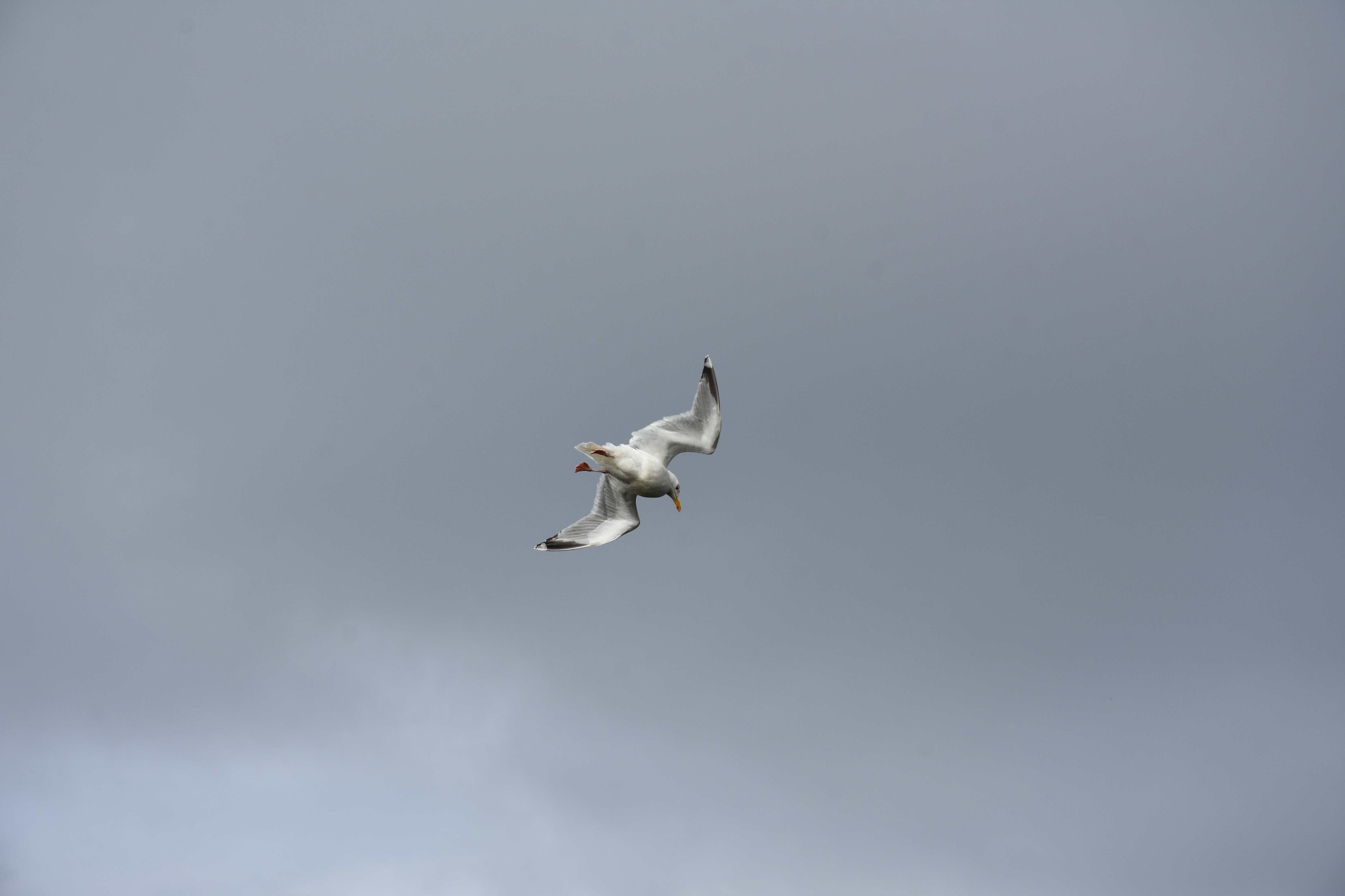 Luft: Das Elixier des Lebens