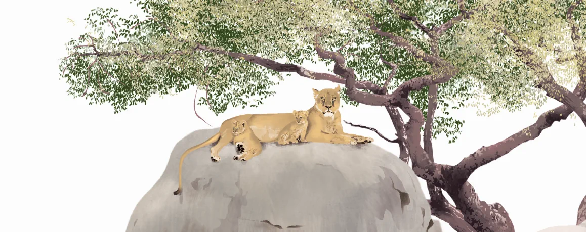 Auf nach «Afrika!»: Eine Reise zu Mensch, Tier und Natur der Savannen