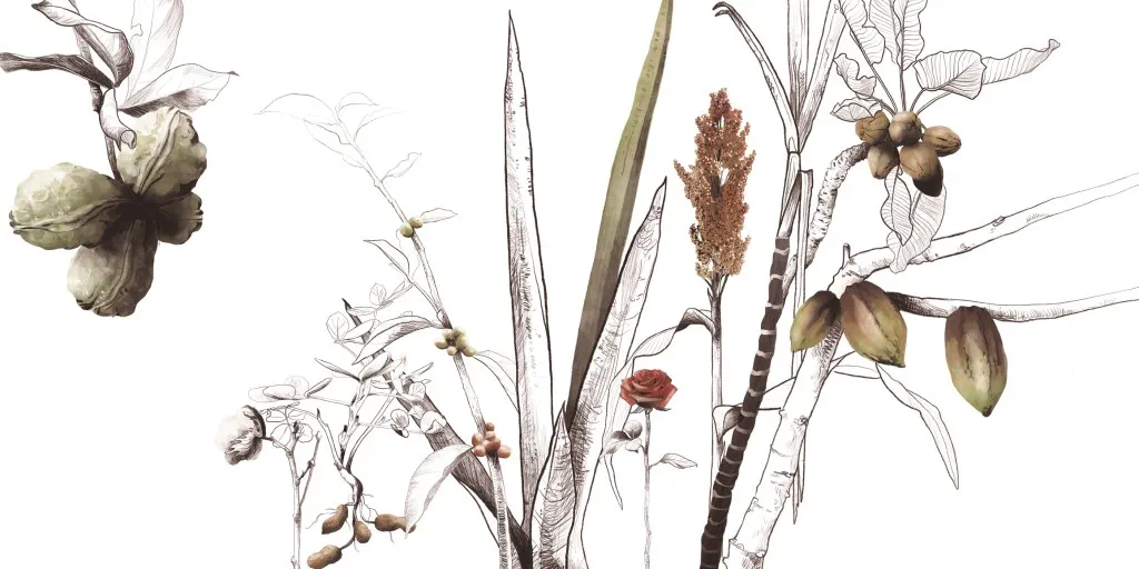 20231220_030-031_Vlcek_Afrika_cKatharina-Vlcek_D-Glinde