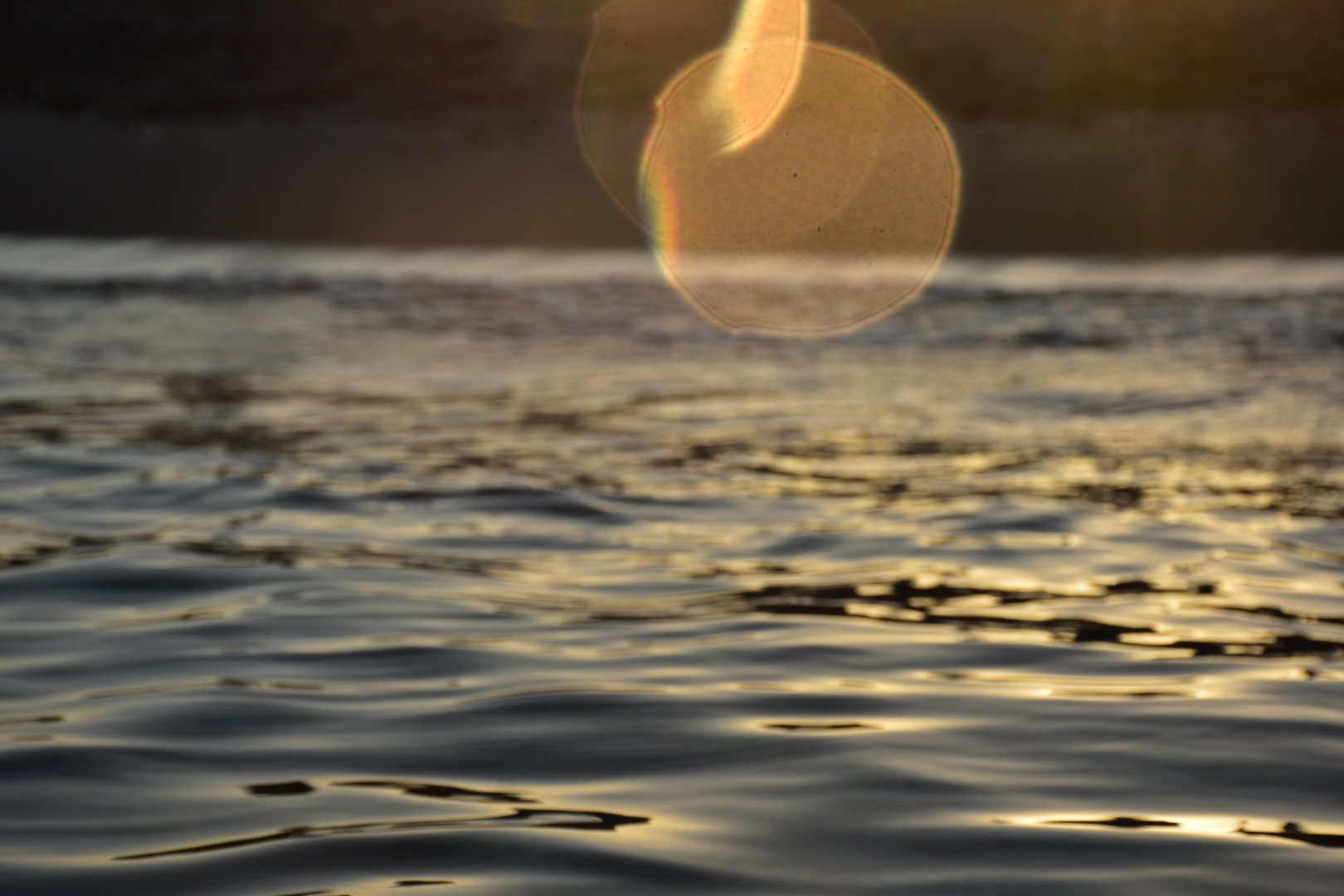 Die Welt der Gerüche – Vom flüchtigsten aller Sinne