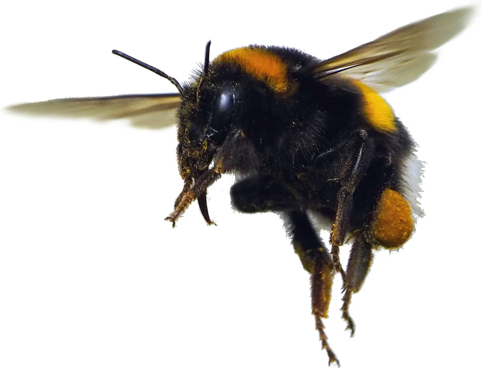 9783258084268_B_Bomter_frei